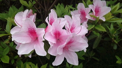 20130501-5